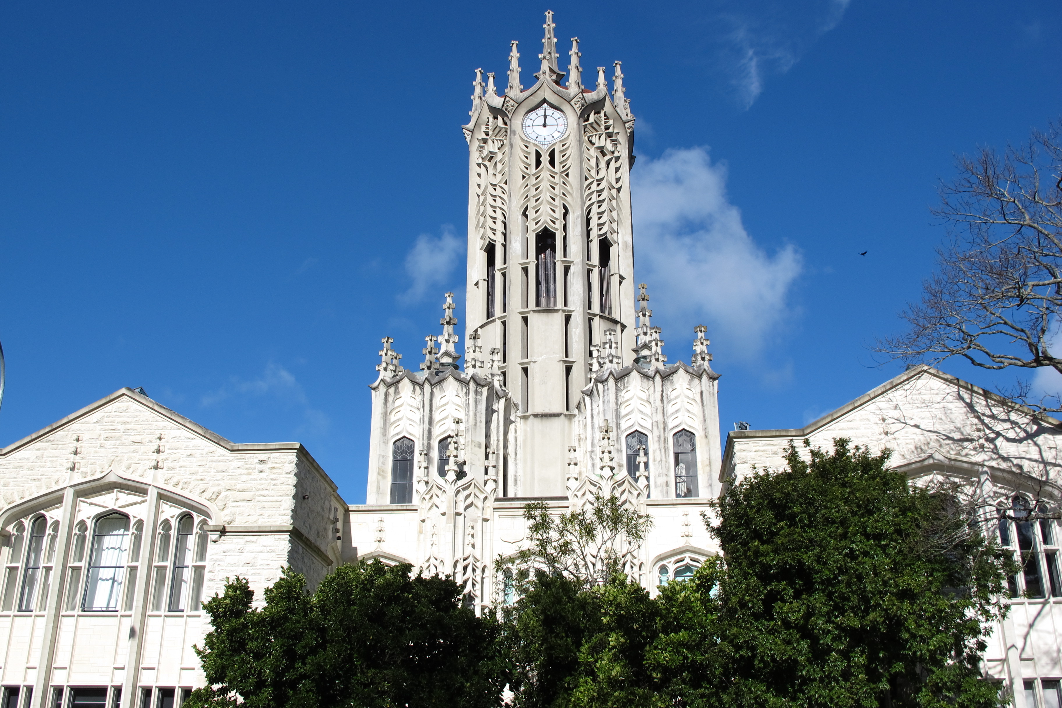 University of Auckland 奥克兰大学