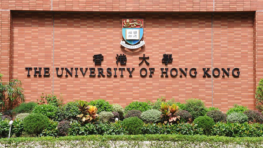 第二弹 | 香港大学24Fall硕士申请各专业截止时间